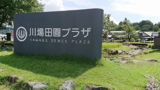 DSC_4820.jpg