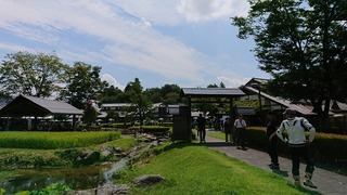 DSC_4821.jpg