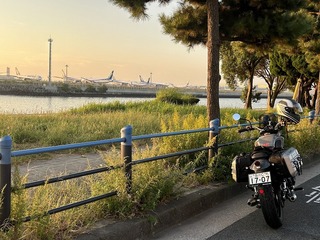 IMG_2973.jpg