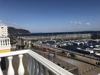 IMG_5599.jpg